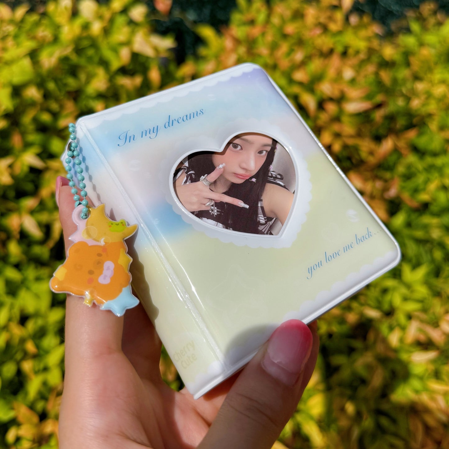 In My Dreams - Mini Photocard Collectbook