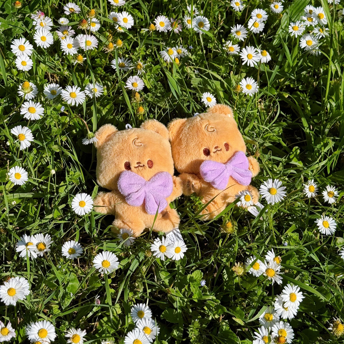 Arlo the Baby Bear - Plushie Keychain